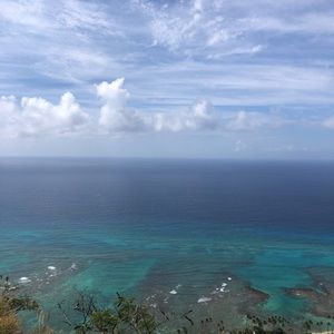 Bundle for lovely spice